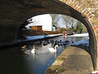 Grand Union Canal Bridge 98